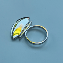 Load image into Gallery viewer, AX RING
